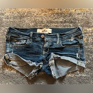 Holster Size 1 Shorts